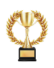Jury Award trophy